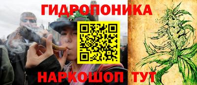 прущие грибы Пугачёв